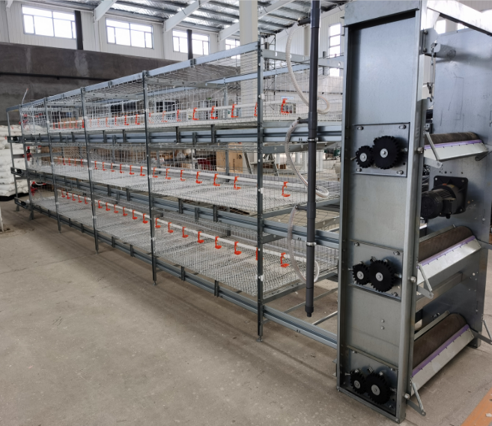 自動清糞機—機頭、機尾